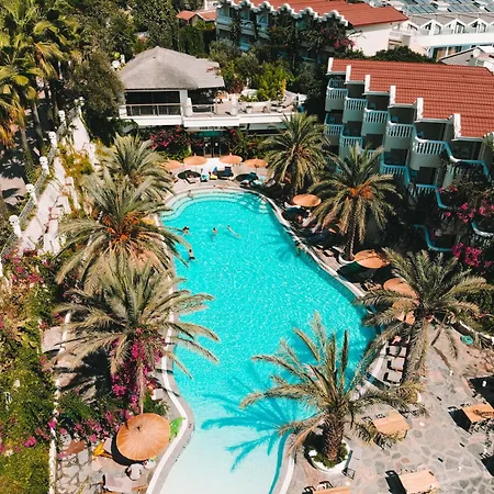 Ami Tai Superior Pet Lovers