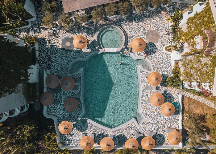 Отель Ami Tai Superior Pet Lovers