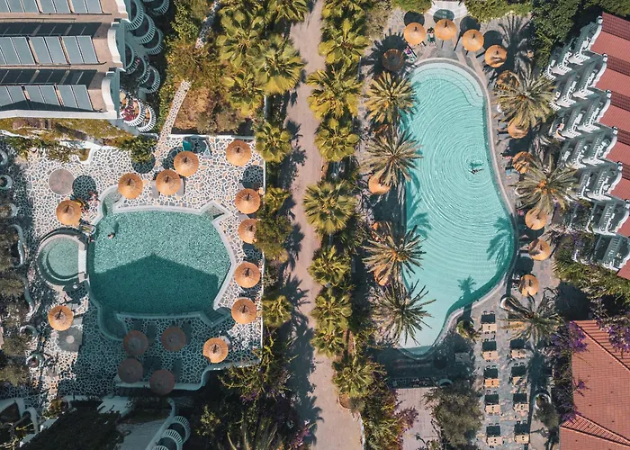 Ami Tai Superior Pet Lovers * Фетхие