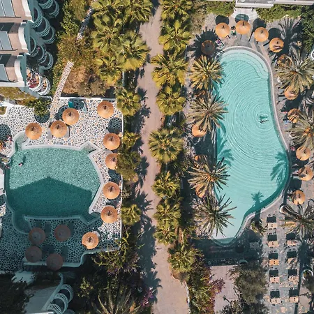 Ami Tai Superior Pet Lovers * Fethiye