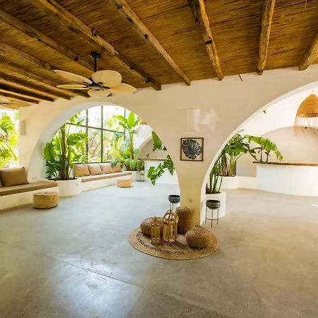 Ami Tai Superior Pet Lovers Hotel