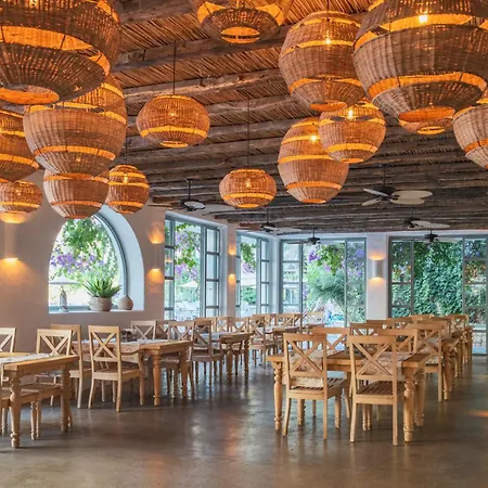 Hotel Ami Tai Superior Pet Lovers Fethiye