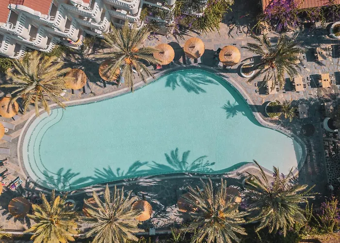 Ami Tai Superior Pet Lovers *