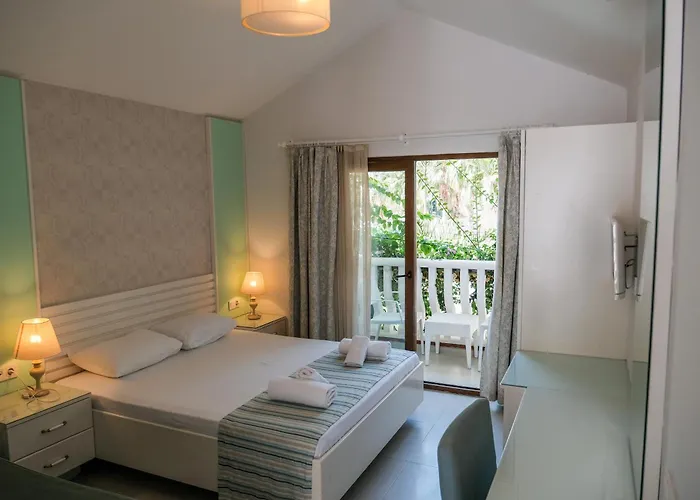 Ami Tai Superior Pet Lovers Fethiye