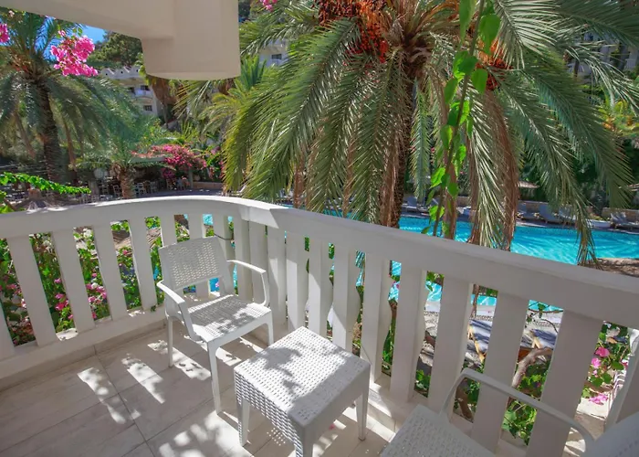 Ami Tai Superior Pet Lovers